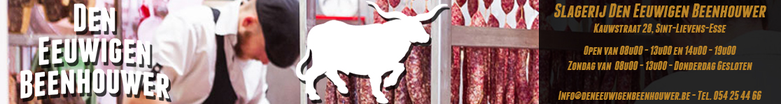 Reclamebanner 